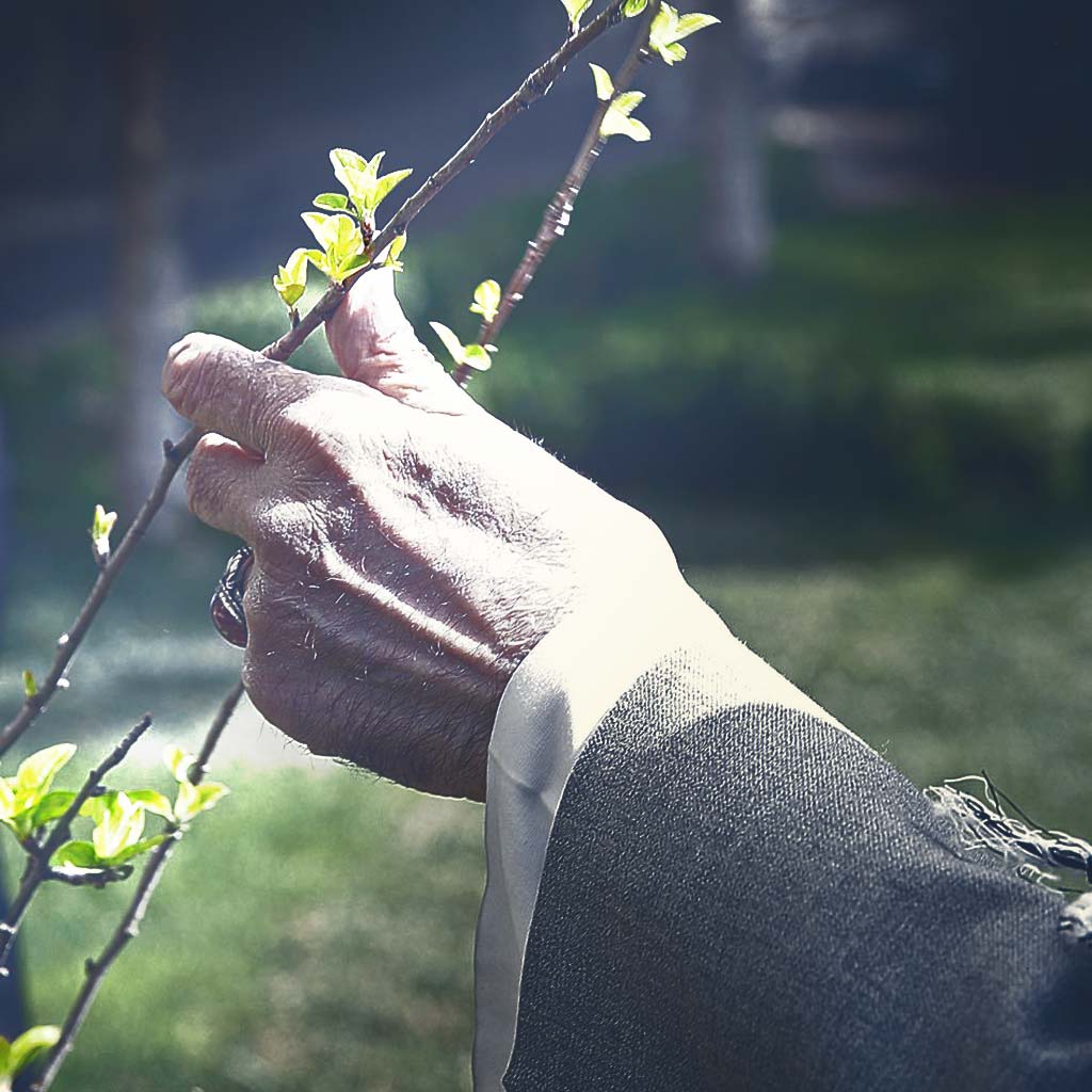 نیروی راهبردی، تکلیف انقلابی